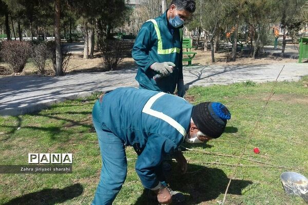 اهدای  رایگان نهال در بوستان‌های خاورشهر به مناسبت جشن تولد زمین