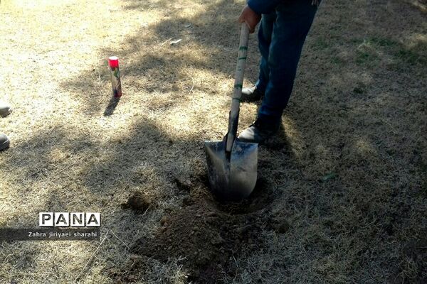 اهدای  رایگان نهال در بوستان‌های خاورشهر به مناسبت جشن تولد زمین