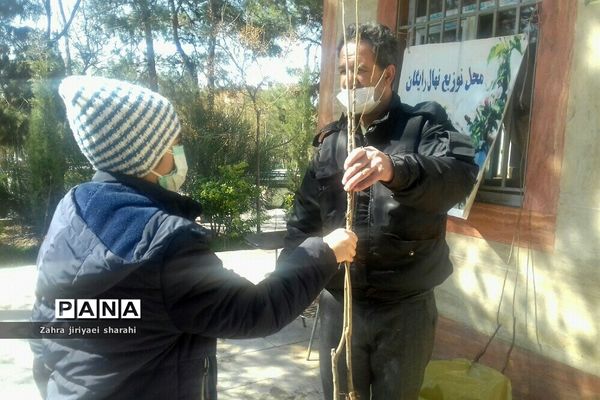 اهدای  رایگان نهال در بوستان‌های خاورشهر به مناسبت جشن تولد زمین