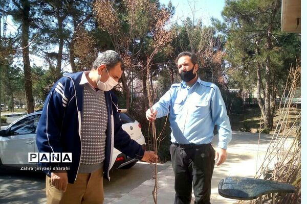 اهدای  رایگان نهال در بوستان‌های خاورشهر به مناسبت جشن تولد زمین