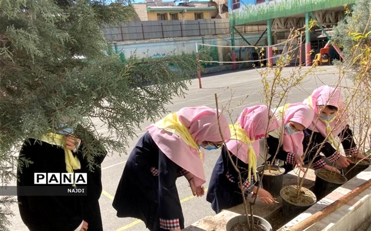 مشارکت  پیشتازان در کاشت نهال نمونه ای عملی از اجرای منش های  ارزنده  سازمان دانش آموزی است