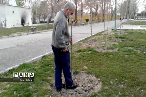روز درختکاری در منطقه 18 شهر تهران