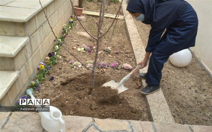 کاشت نهال توسط دانش آموزان شهرستان بجنورد