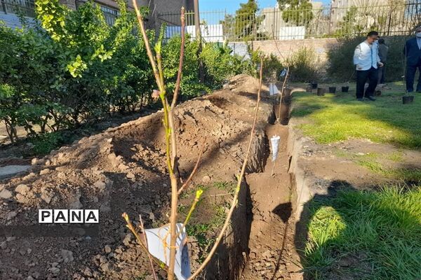 مراسم کاشت 66 درخت به یاد 66 شهید هنرستان ماندگار ایثار شریعتی منطقه 16