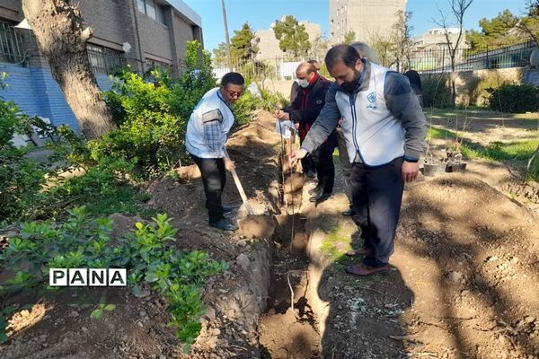 مراسم کاشت 66 درخت به یاد 66 شهید هنرستان ماندگار ایثار شریعتی منطقه 16