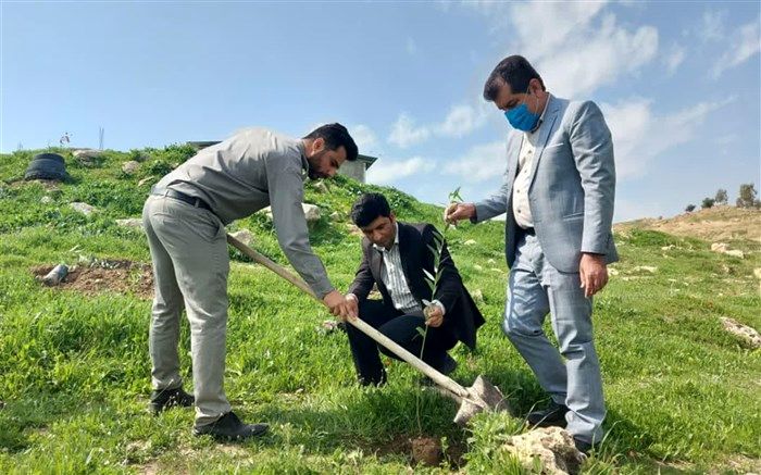 آغاز کاشت 2000 نهال در سطح منابع طبیعی شهرستان لالی