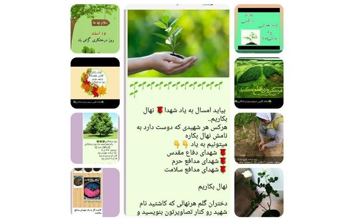 اجرای برنامه هر شهید یک درخت در دبیرستان شاهد هاجر کاشمر