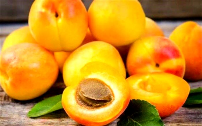 زردآلو باعث کاهش فشار خون می‌شود