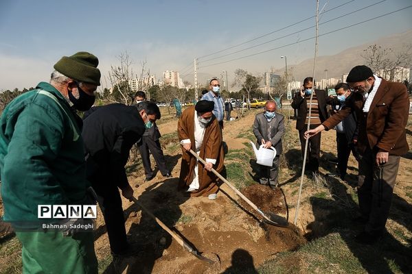 کاشت 1000 اصله نهال در روز درختکاری