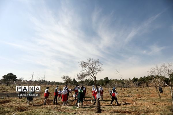 کاشت 1000 اصله نهال در روز درختکاری
