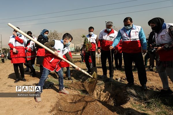 کاشت 1000 اصله نهال در روز درختکاری