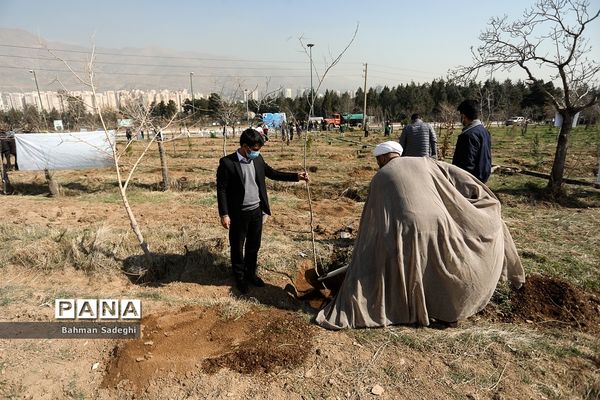 کاشت 1000 اصله نهال در روز درختکاری