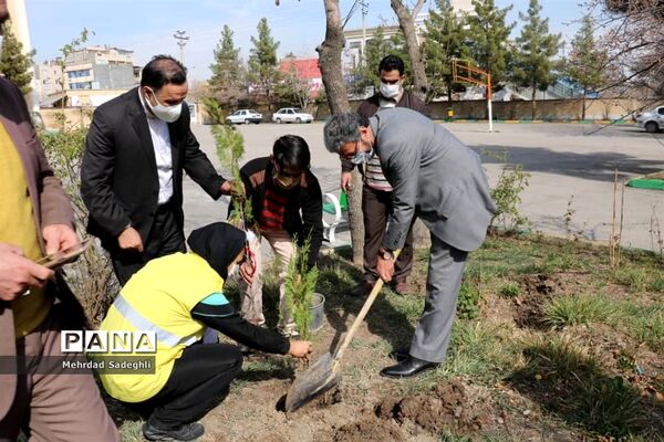 همایش استانی درختکاری توسط دانش آموزان ساعی در طرح ملی کوچ