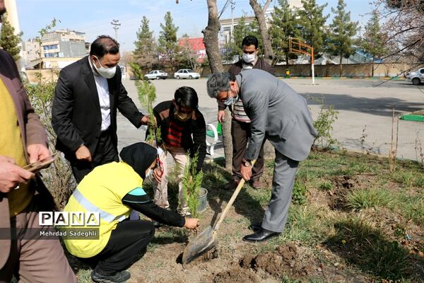 همایش استانی درختکاری توسط دانش آموزان ساعی در طرح ملی کوچ