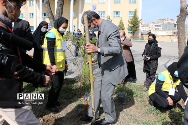 همایش استانی درختکاری توسط دانش آموزان ساعی در طرح ملی کوچ