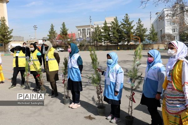 همایش استانی درختکاری توسط دانش آموزان ساعی در طرح ملی کوچ