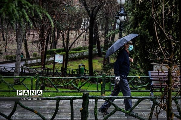 تهران بارانی در آخرین روزهای سال