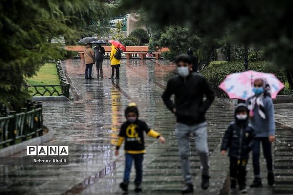 تهران بارانی در آخرین روزهای سال