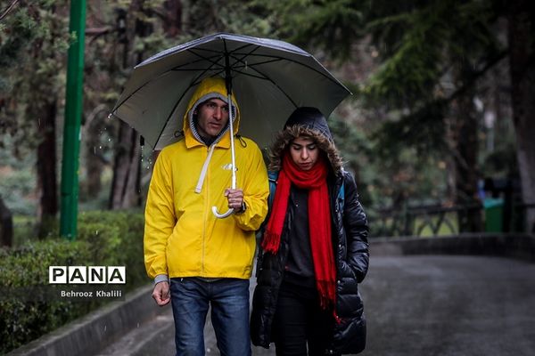 تهران بارانی در آخرین روزهای سال