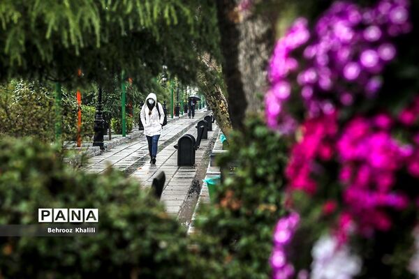 تهران بارانی در آخرین روزهای سال