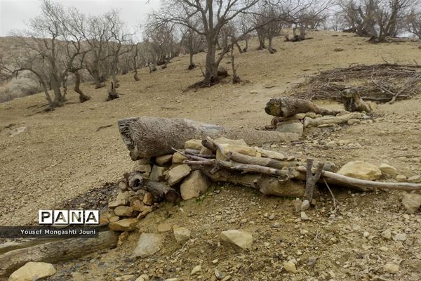 صعود فرهنگیان باغملک به قله ریز گر رشته کوه زاگرس