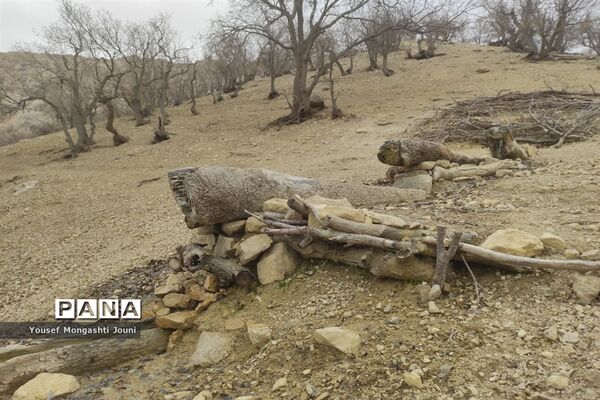 صعود فرهنگیان باغملک به قله ریز گر رشته کوه زاگرس