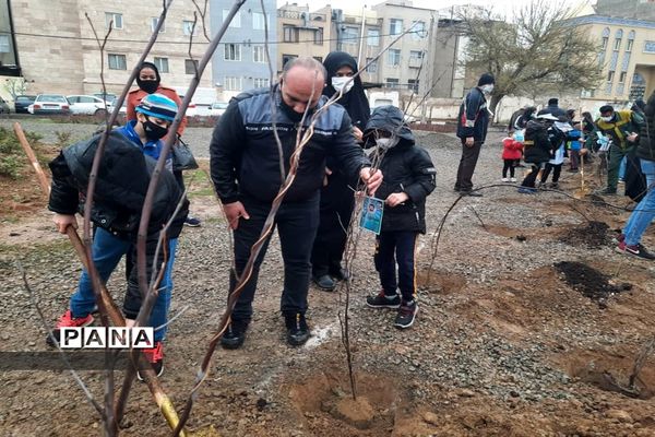 کاشت نهال ایثار به نیابت شهدا در روز شهدا