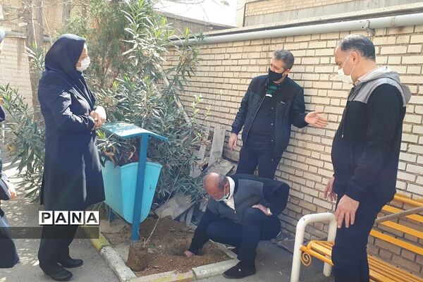غرس نهال در هنرستان ایثار ناحیه یک شهرری به مناسبت هفته منابع طبیعی
