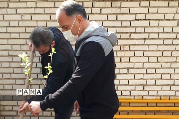 غرس نهال در هنرستان ایثار ناحیه یک شهرری به مناسبت هفته منابع طبیعی