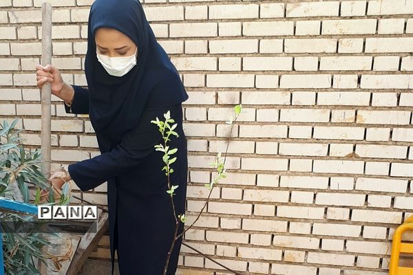غرس نهال در هنرستان ایثار ناحیه یک شهرری به مناسبت هفته منابع طبیعی