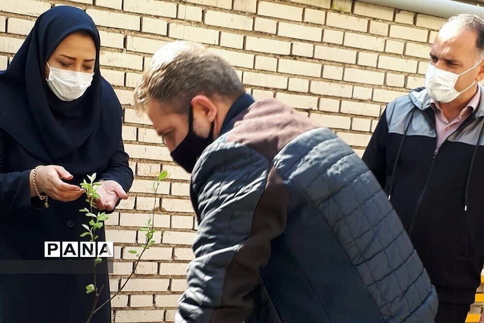 غرس نهال در هنرستان ایثار ناحیه یک شهرری به مناسبت هفته منابع طبیعی