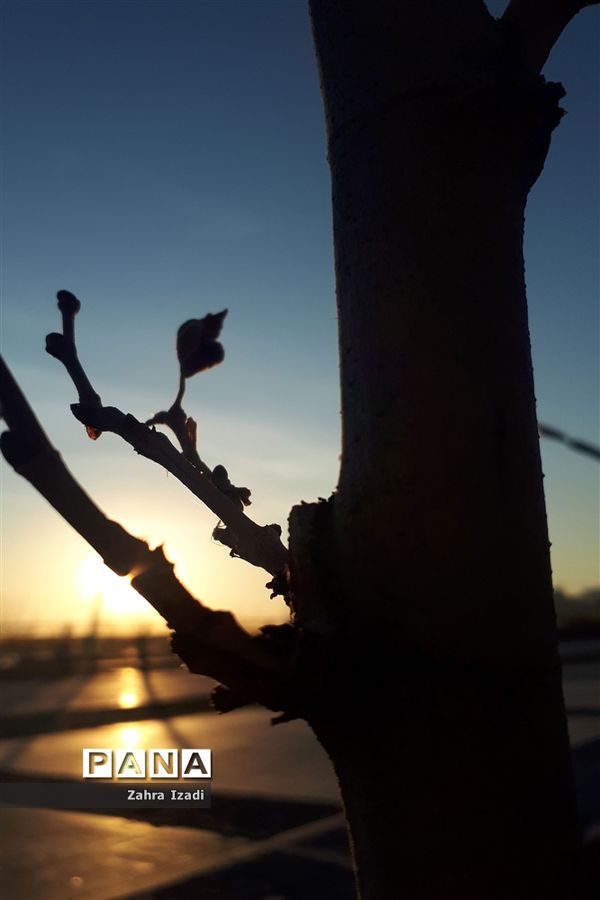 نخستین بهار قرن جدید