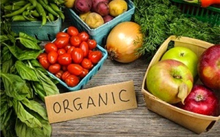 ۱۰ محصول گواهی شده و ارگانیک کشاورزی در گیلان تولید شد