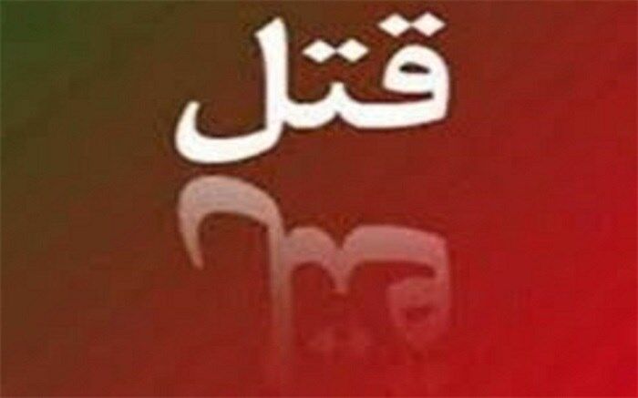 قتل دوست‌باردار به خاطر ربودن نوزاد !