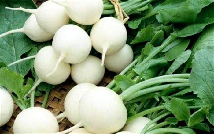 ترب سفید؛ گیاهی موثر در زیبایی پوست و مو