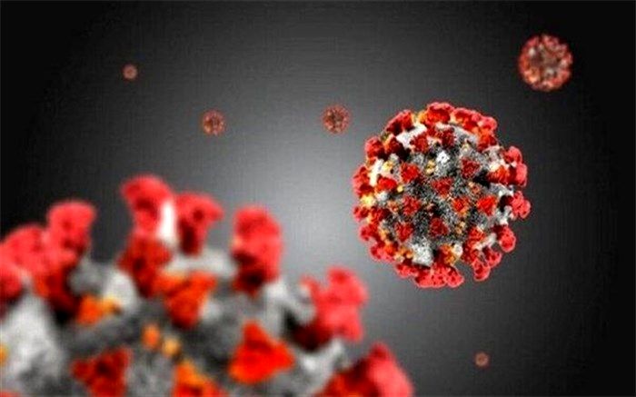 در شبانه روز گذشته ۹ بیمار بدحال مبتلا به کرونا در گیلان در بخش مراقبت های ویژه بستری شدند