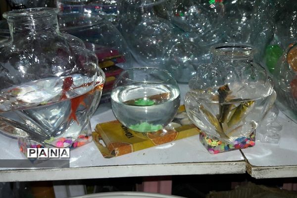 بوی عید و جنب و جوش روزهای پایانی سال