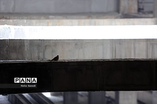 بازدید از نخستین پایانه زیر زمینی مترو