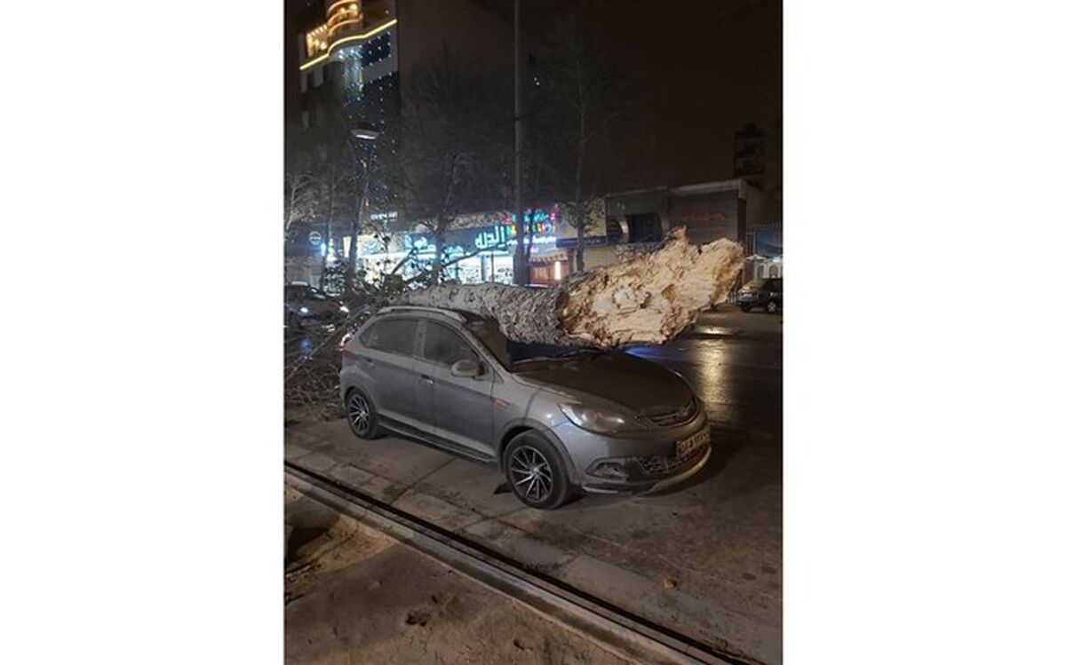 وزش باد شدید و تندباد در شیراز باعث مصدومیت ۱۸ نفر شد