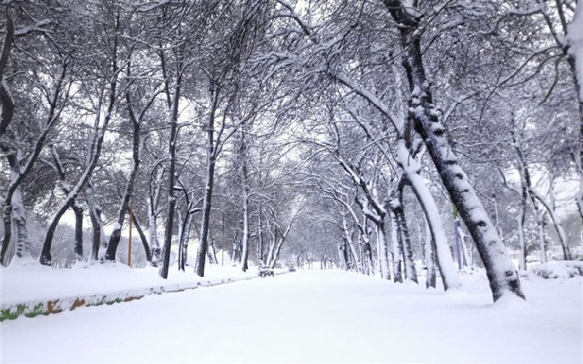 سرمای ۱۹ درجه زیر صفر در استان اردبیل