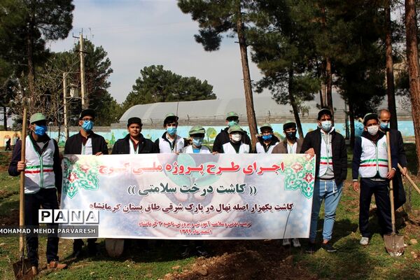 کاشت درخت سلامتی