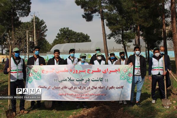 کاشت درخت سلامتی