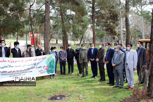 کاشت درخت سلامتی