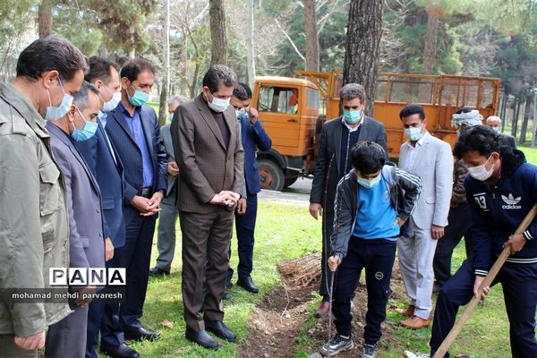 کاشت درخت سلامتی