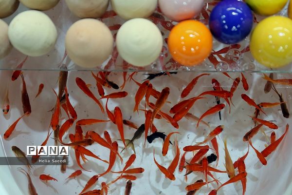 بازار شب عید