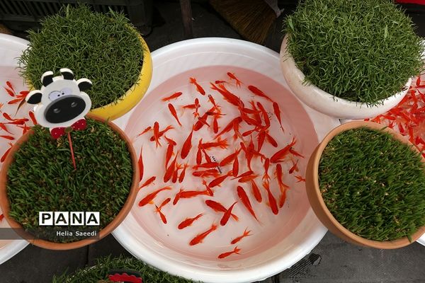 بازار شب عید