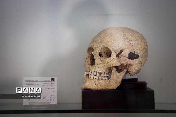 موزه ایران باستان