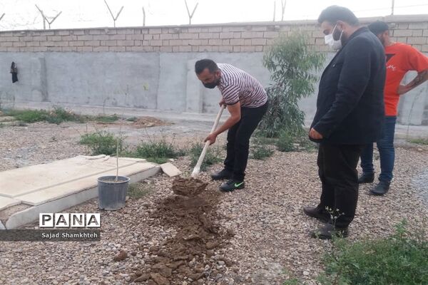 کاشت درخت  به مناسبت چهارشنبه سوری در اهواز