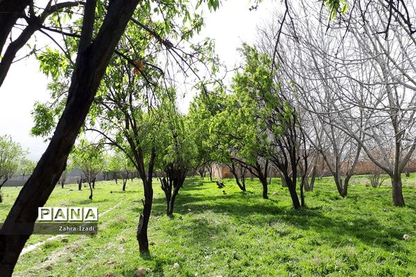 آغاز بهار طبیعت