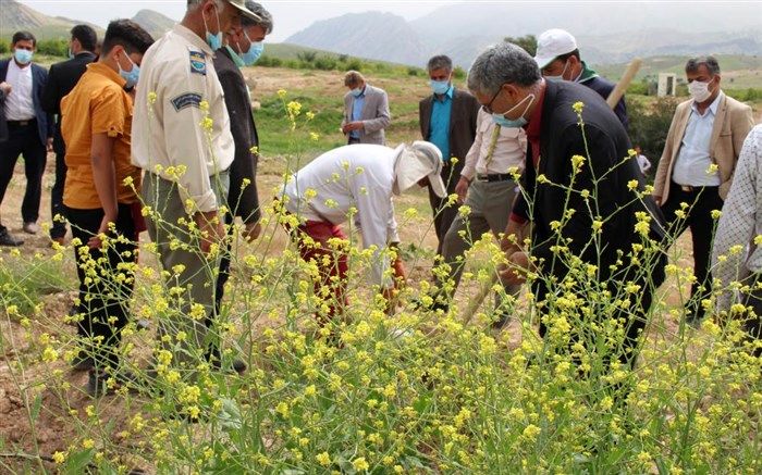 کاشت نهال میوه  توسط مدیر سازمان دانش آموزی کهگیلویه و بویراحمد + فیلم